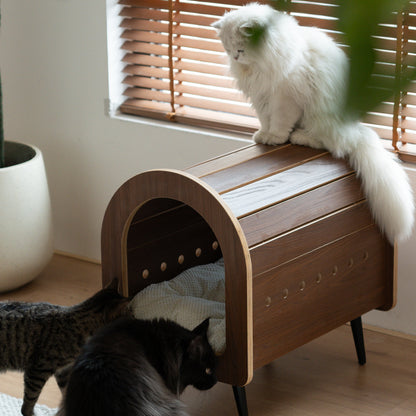 Cat House for Indoor Cats Shelter